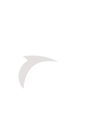 Phoenix For Tello